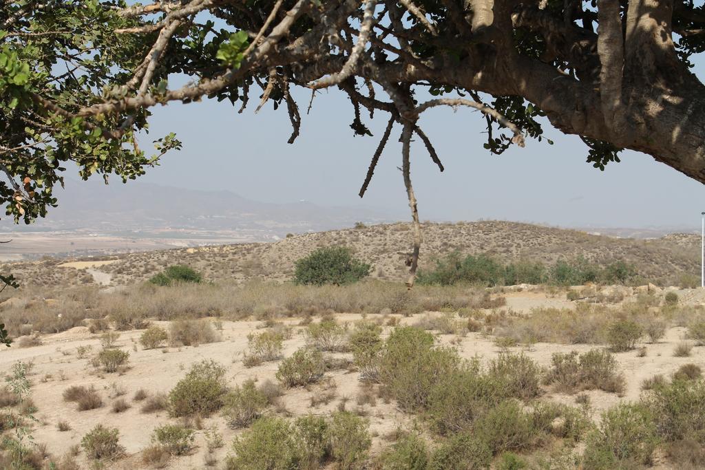Casa Alegria Mazarron Βίλα Εξωτερικό φωτογραφία
