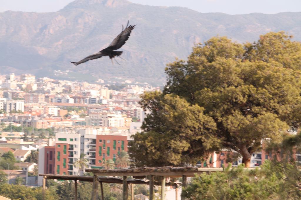 Casa Alegria Mazarron Βίλα Εξωτερικό φωτογραφία